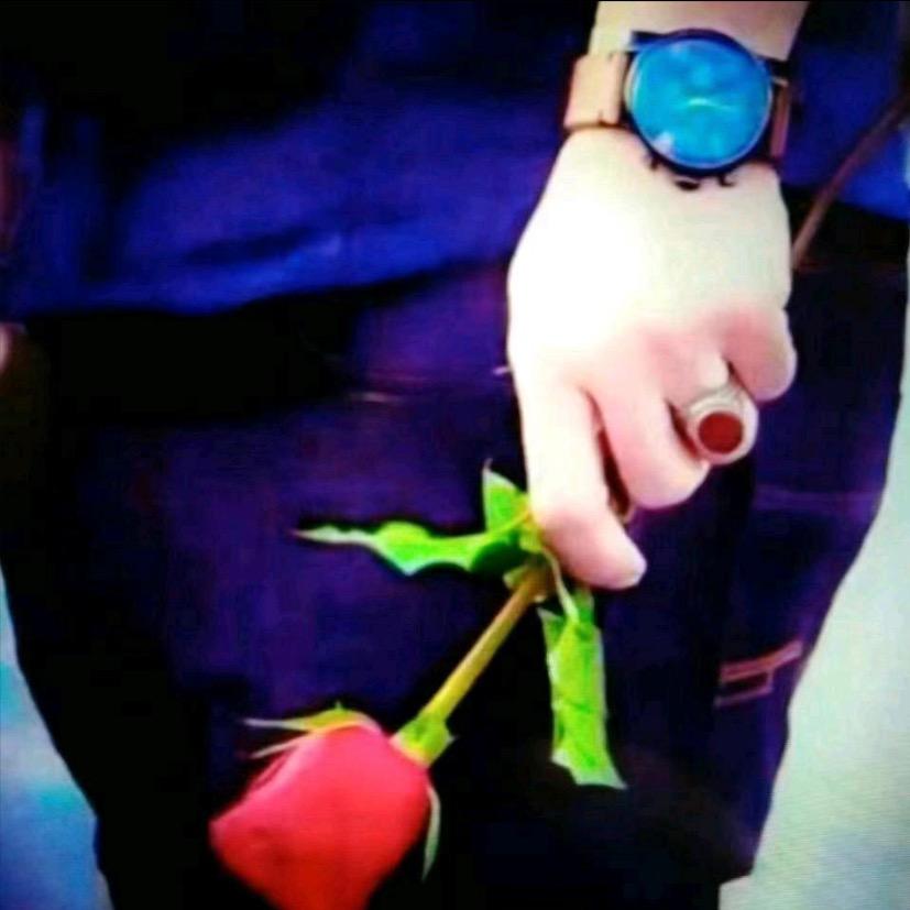 🌹💐tanha💐🌹