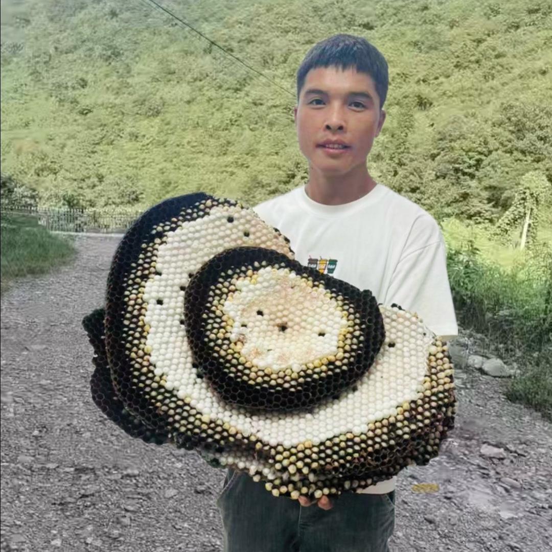 户外搞蜂（小阿浩）