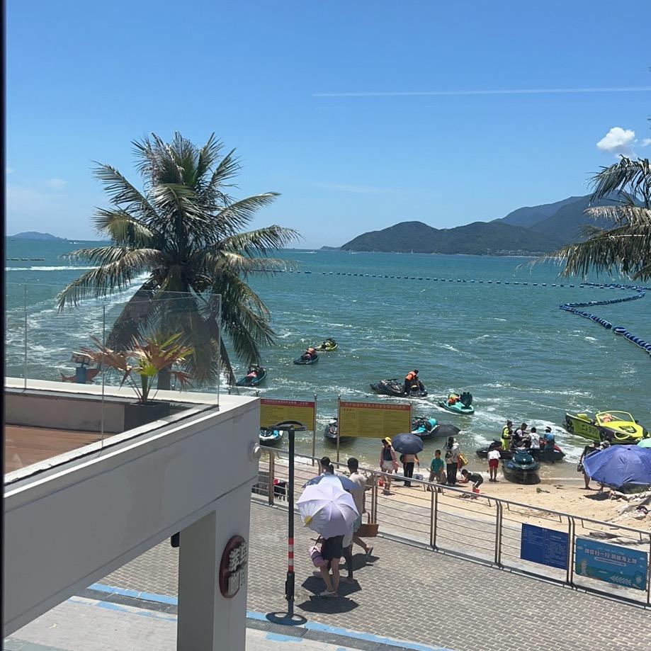 明星  小家伙