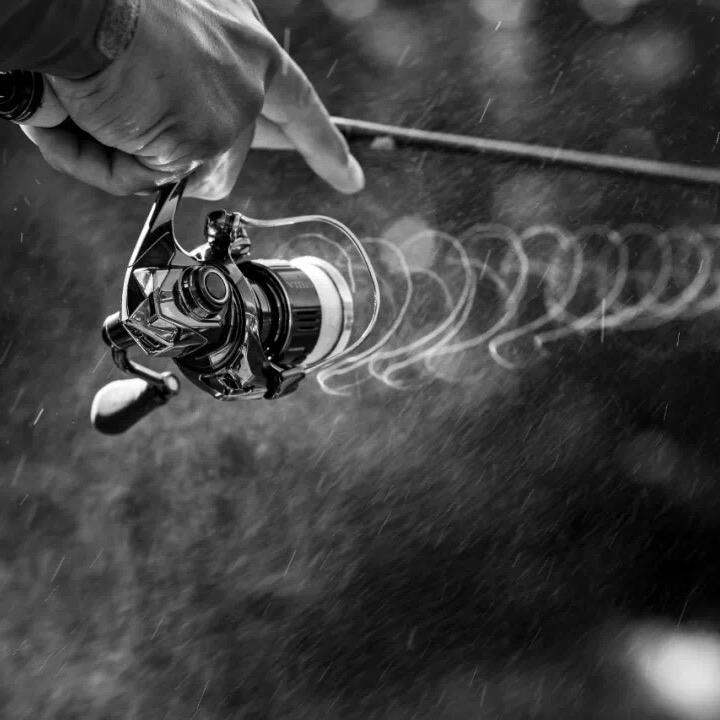 🎣哦豁🎣