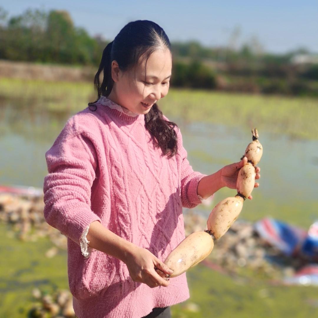 美味佳食品-巴河藕粉
