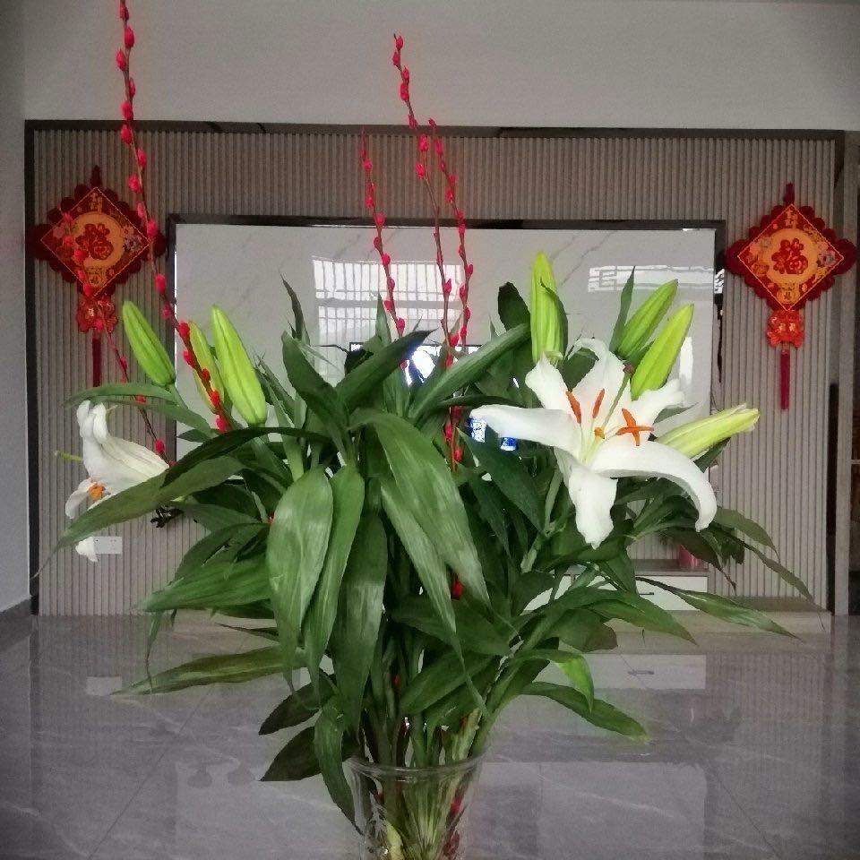 静梅幽兰