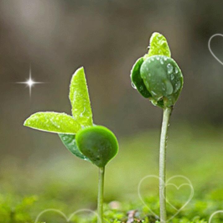 无名小草（拒私聊）