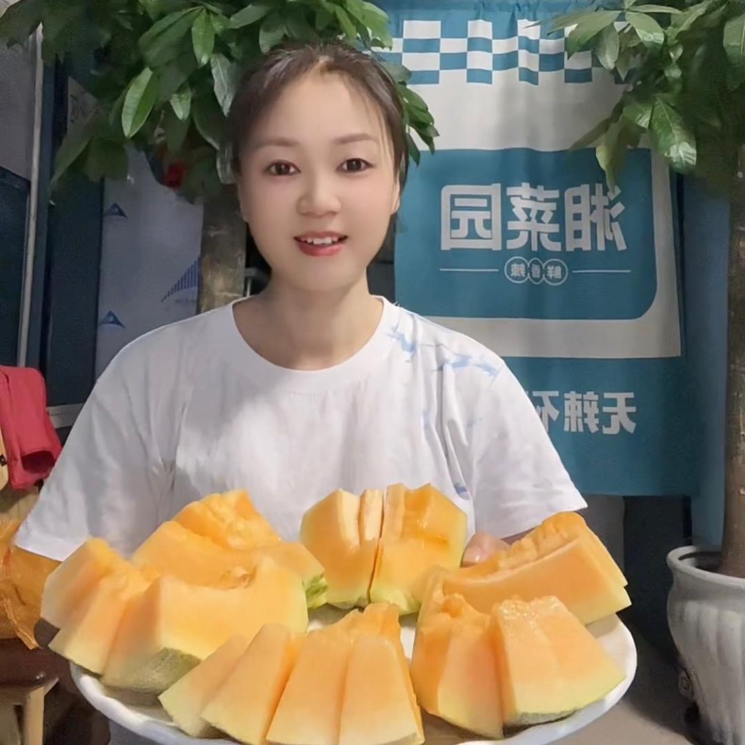 湖南小燕子在新疆