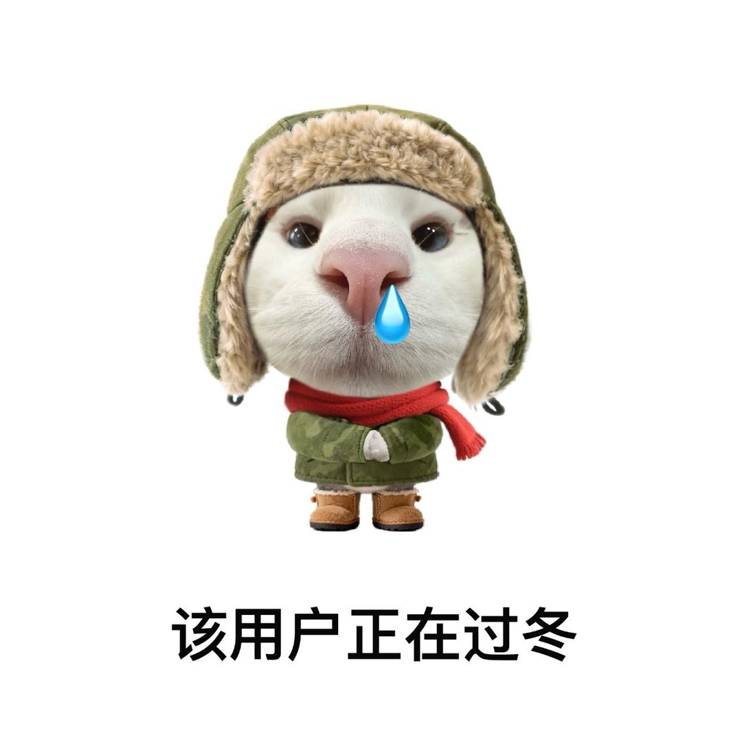 毕业干电信的小宋