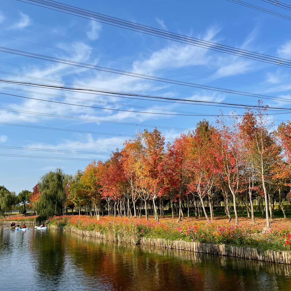 碗里有个小师妹