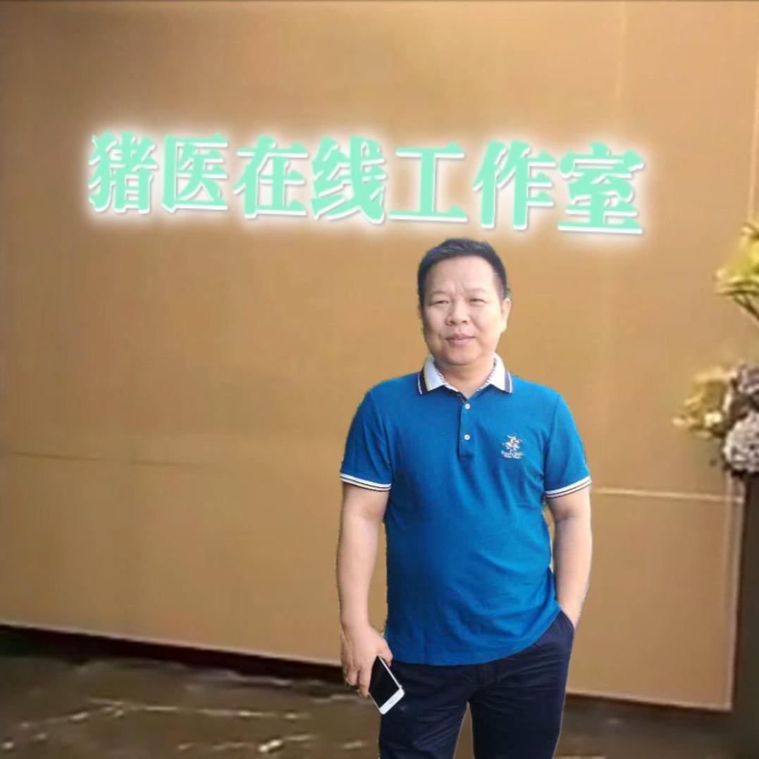 猪医在线陈六哥