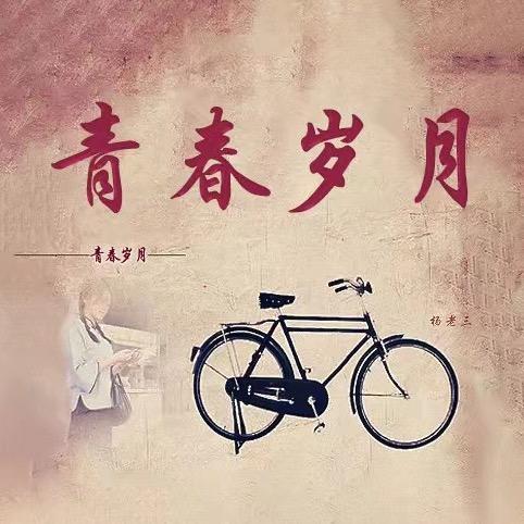 青春岁月