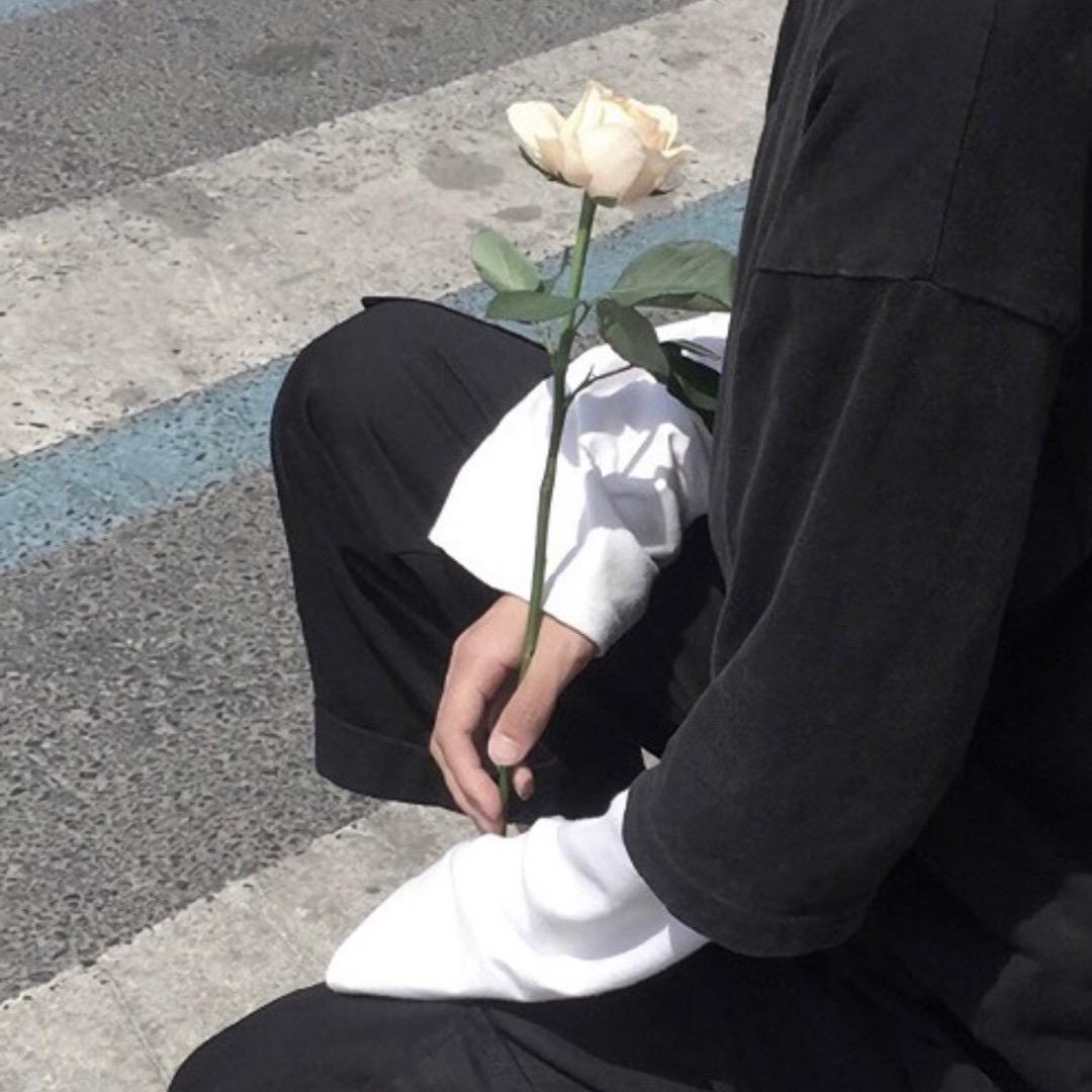 白沐