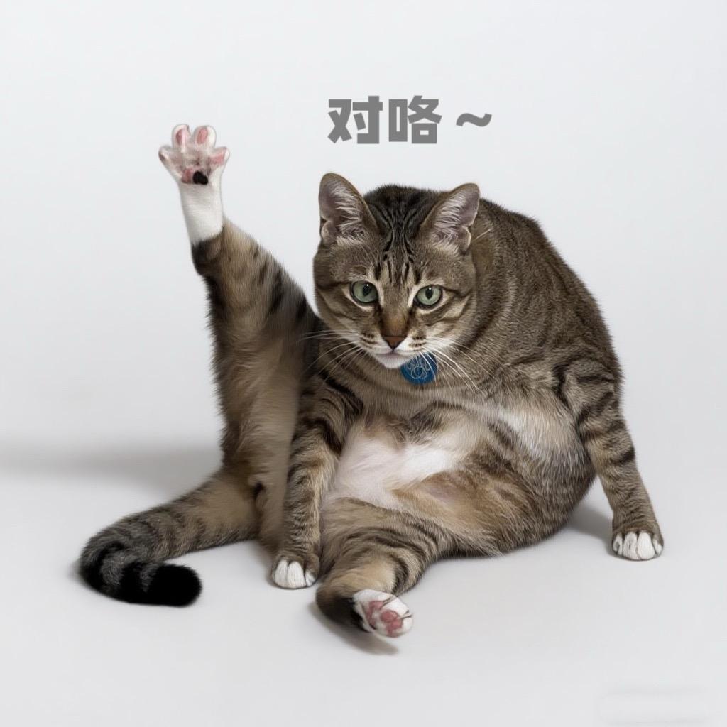 大咪爱老爸