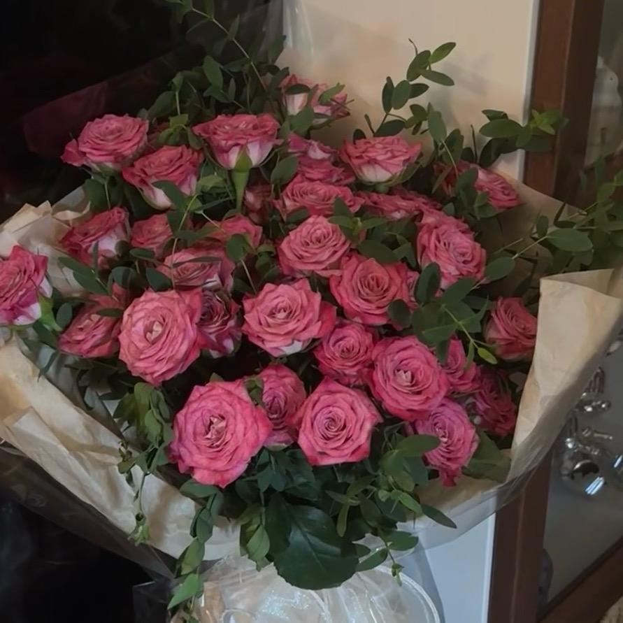 佛山联合动物医院