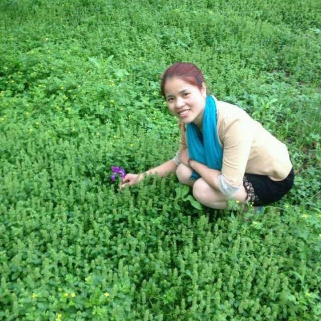 小鱼🌸