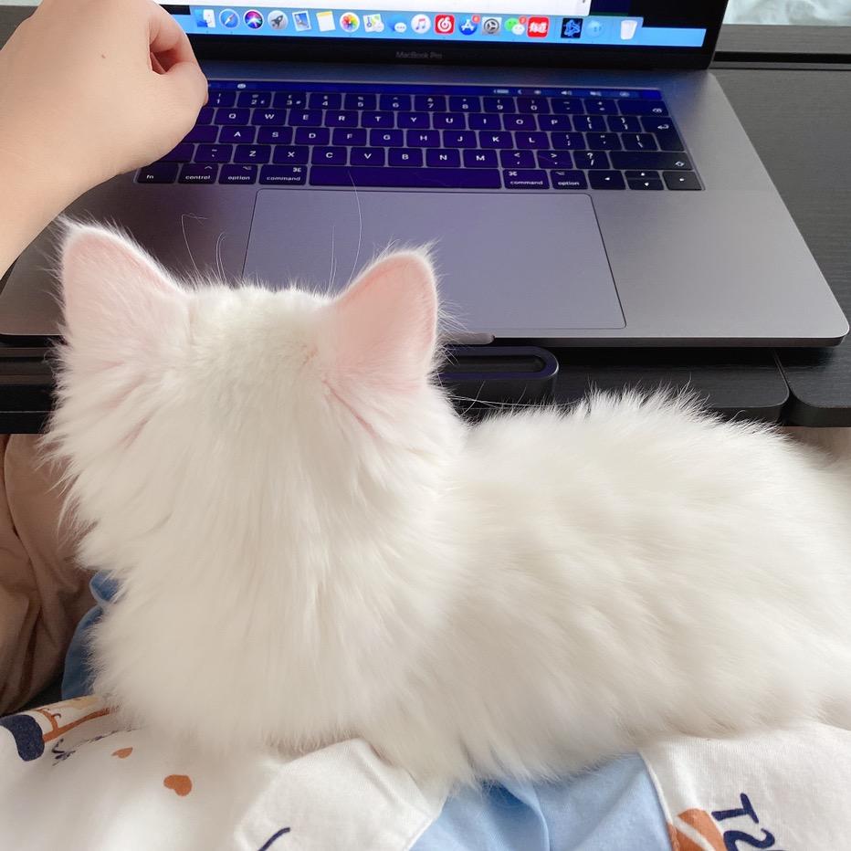 葡萄真甜🎀