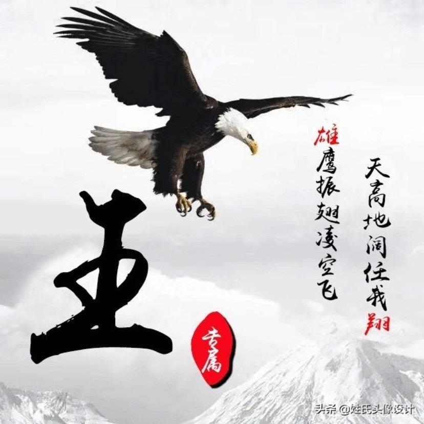 茉莉飘雪