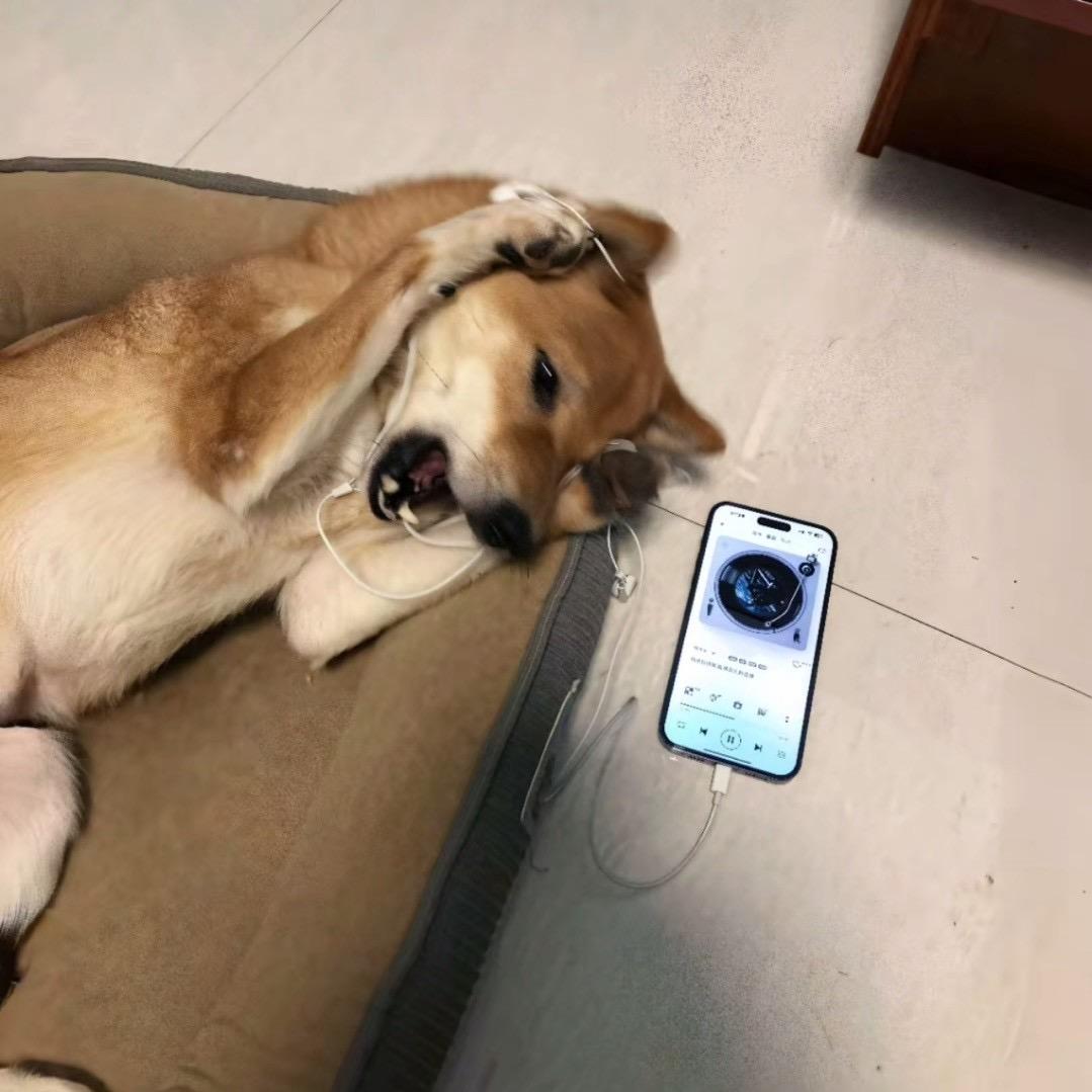 小温.