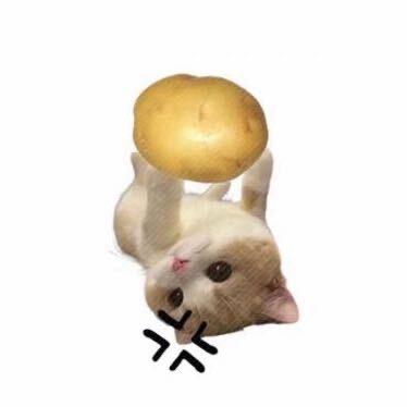 🍞