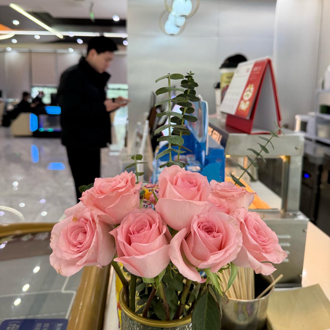 青春飞扬-摸鱼1号