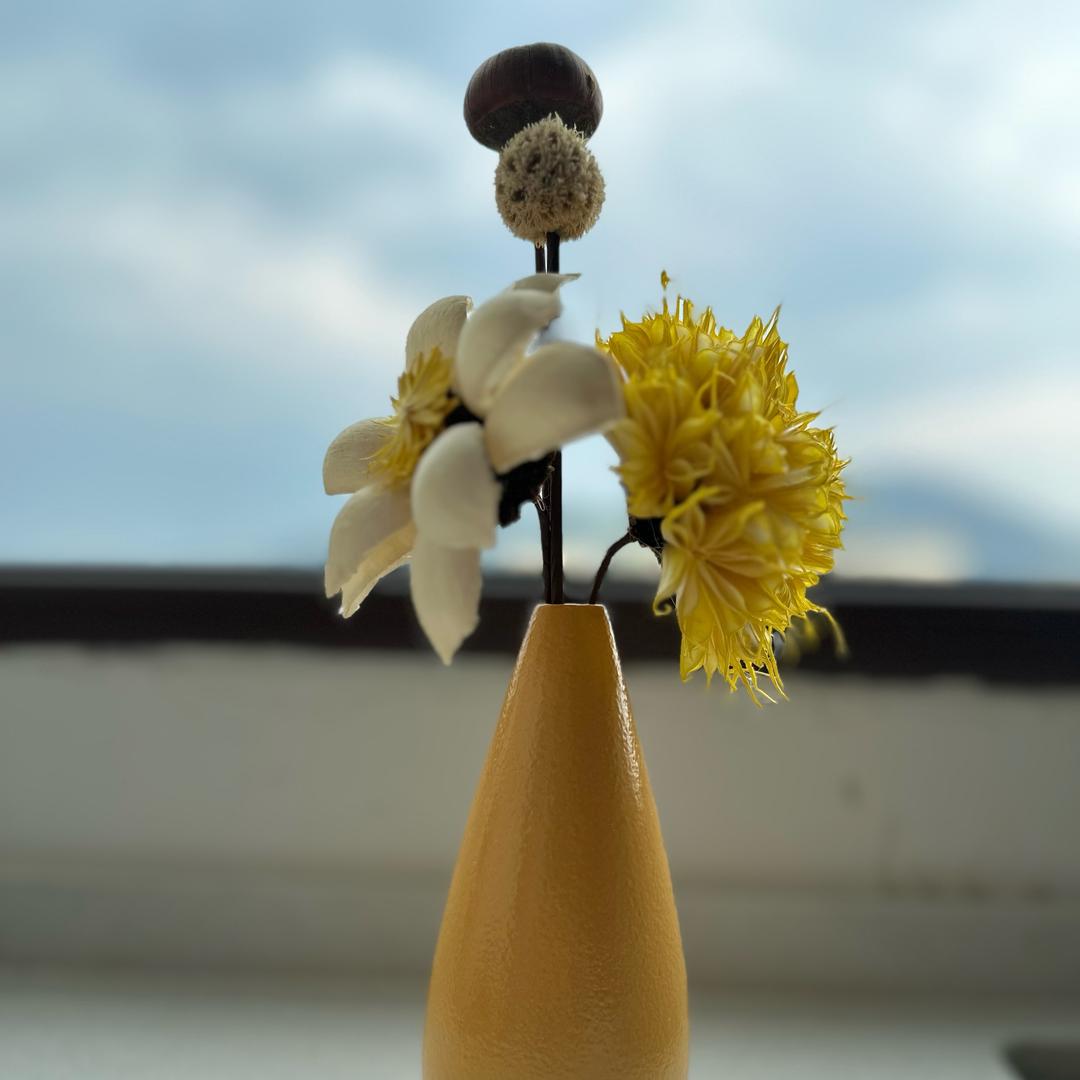 小果冻🪅