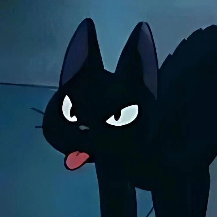 黑猫好物推荐