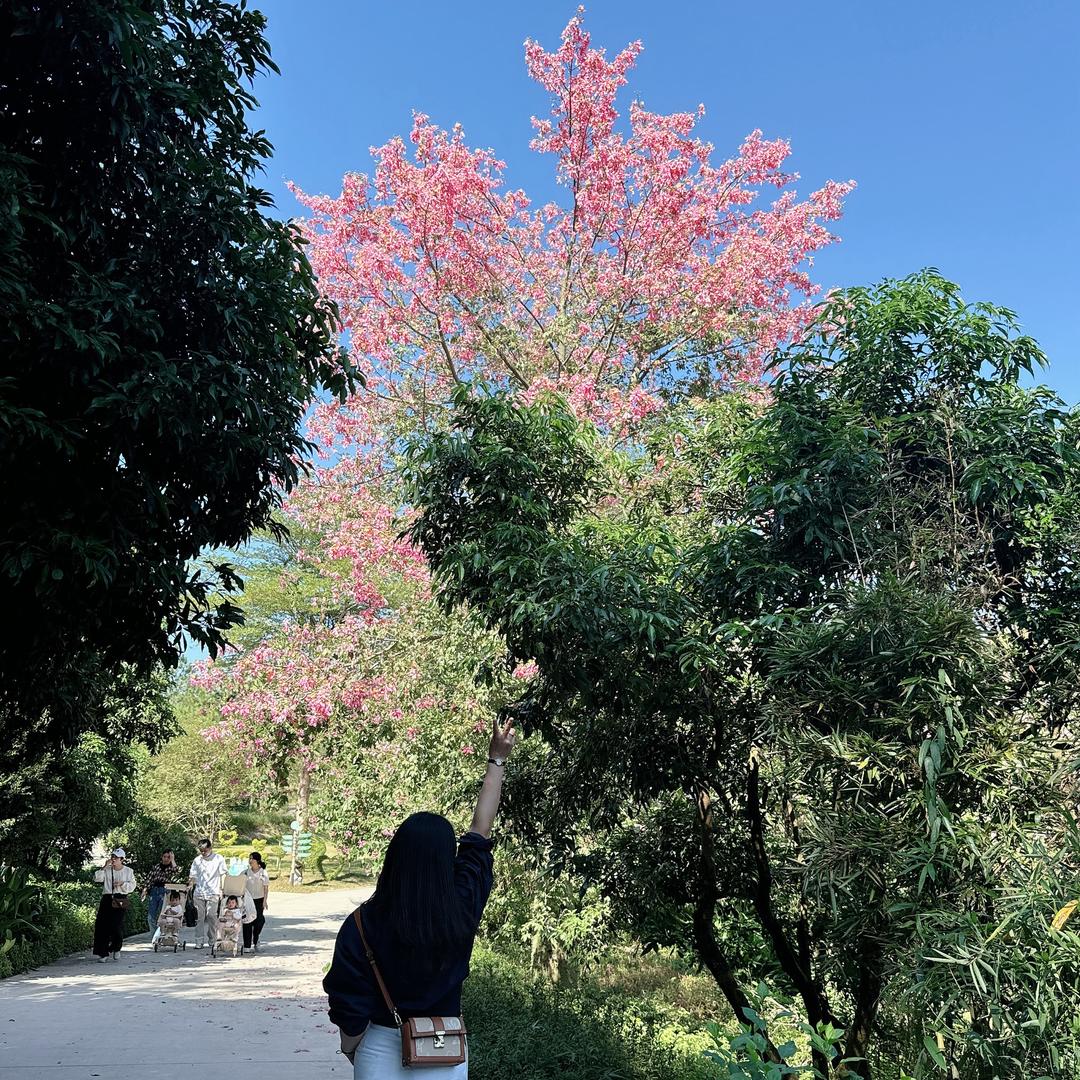 📦.包装主理人