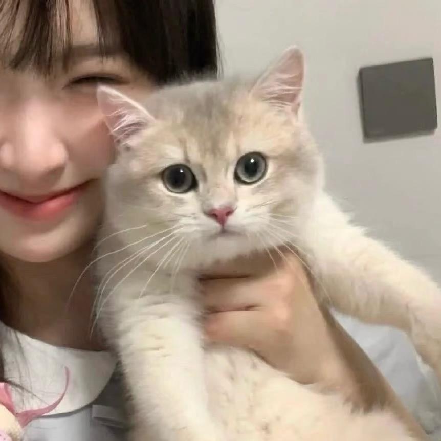 好好睡觉💤😴