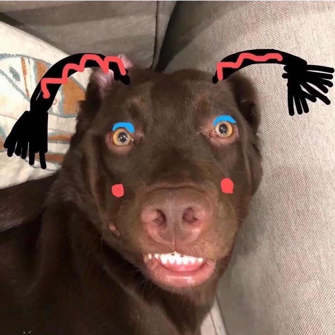 李舔舔