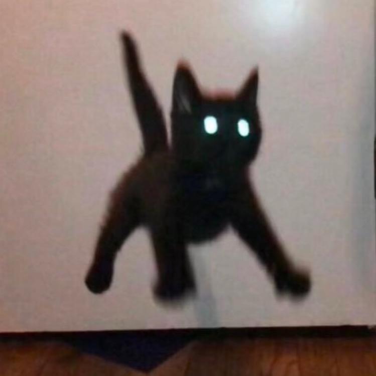 𝟭