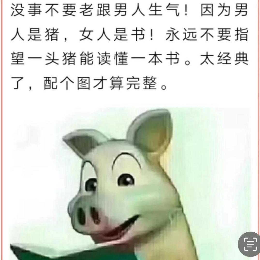 ✨莫老大✨