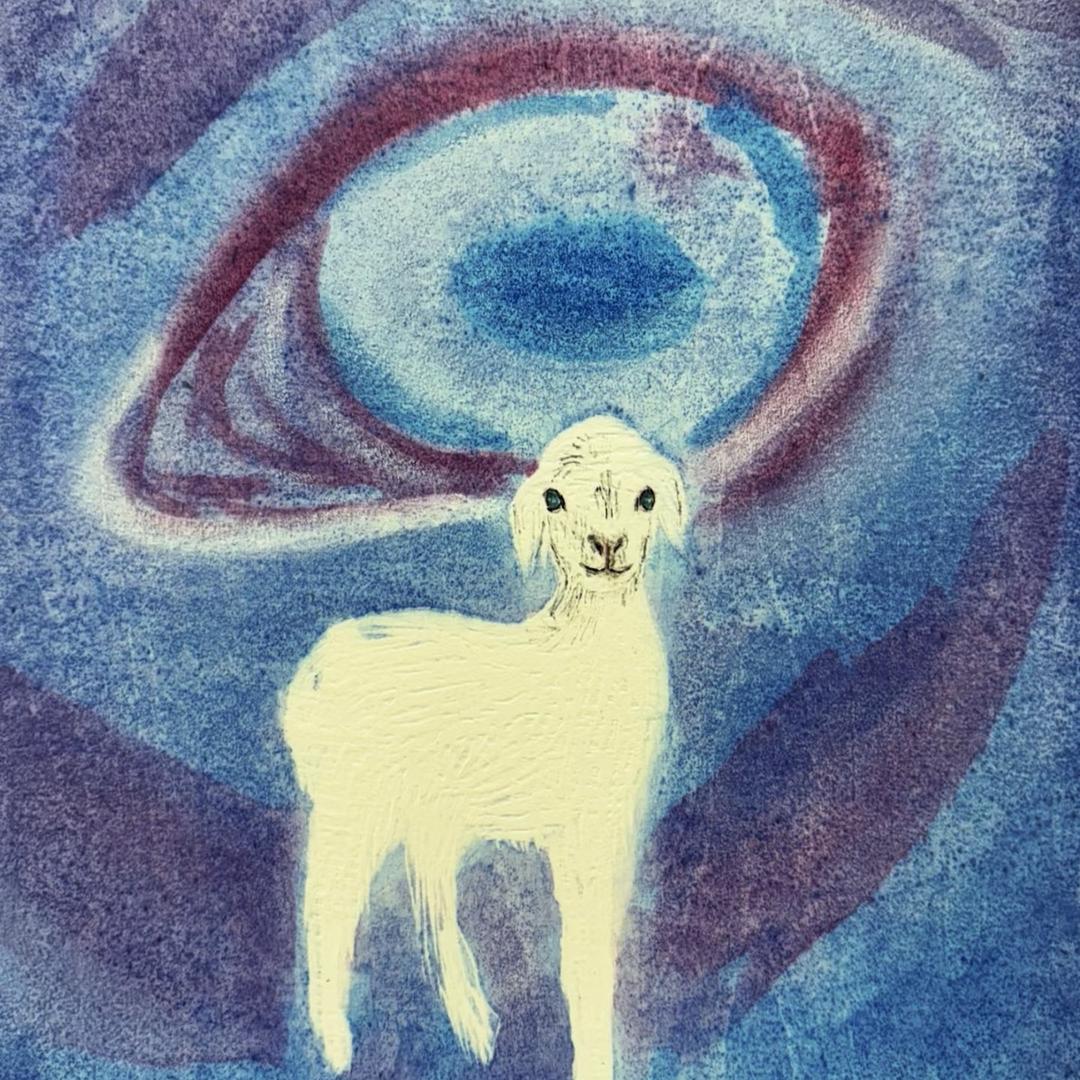 梦不见的电子羊🆈