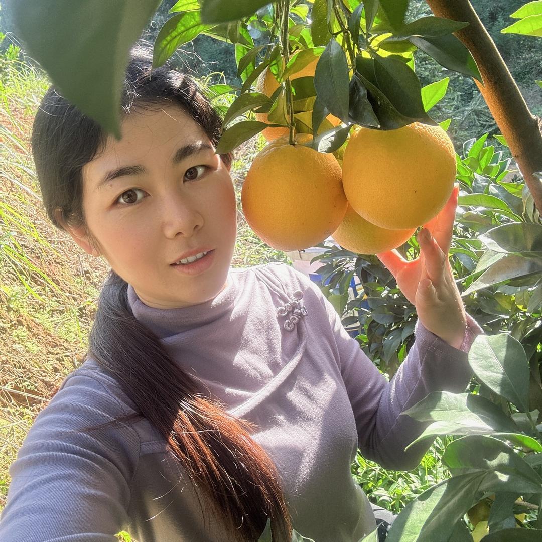 寻味橙乡