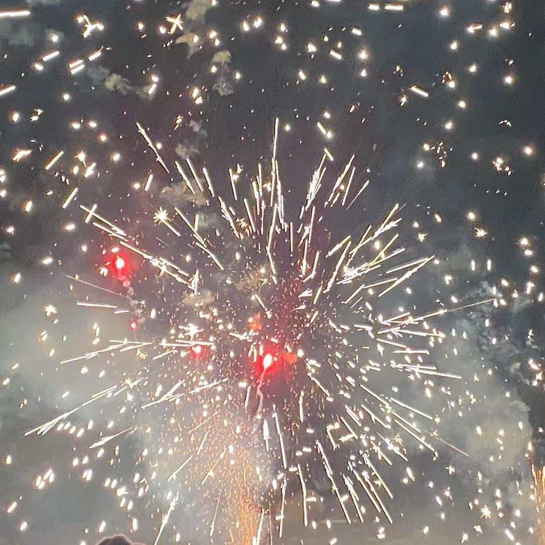 AA小小鲤鱼