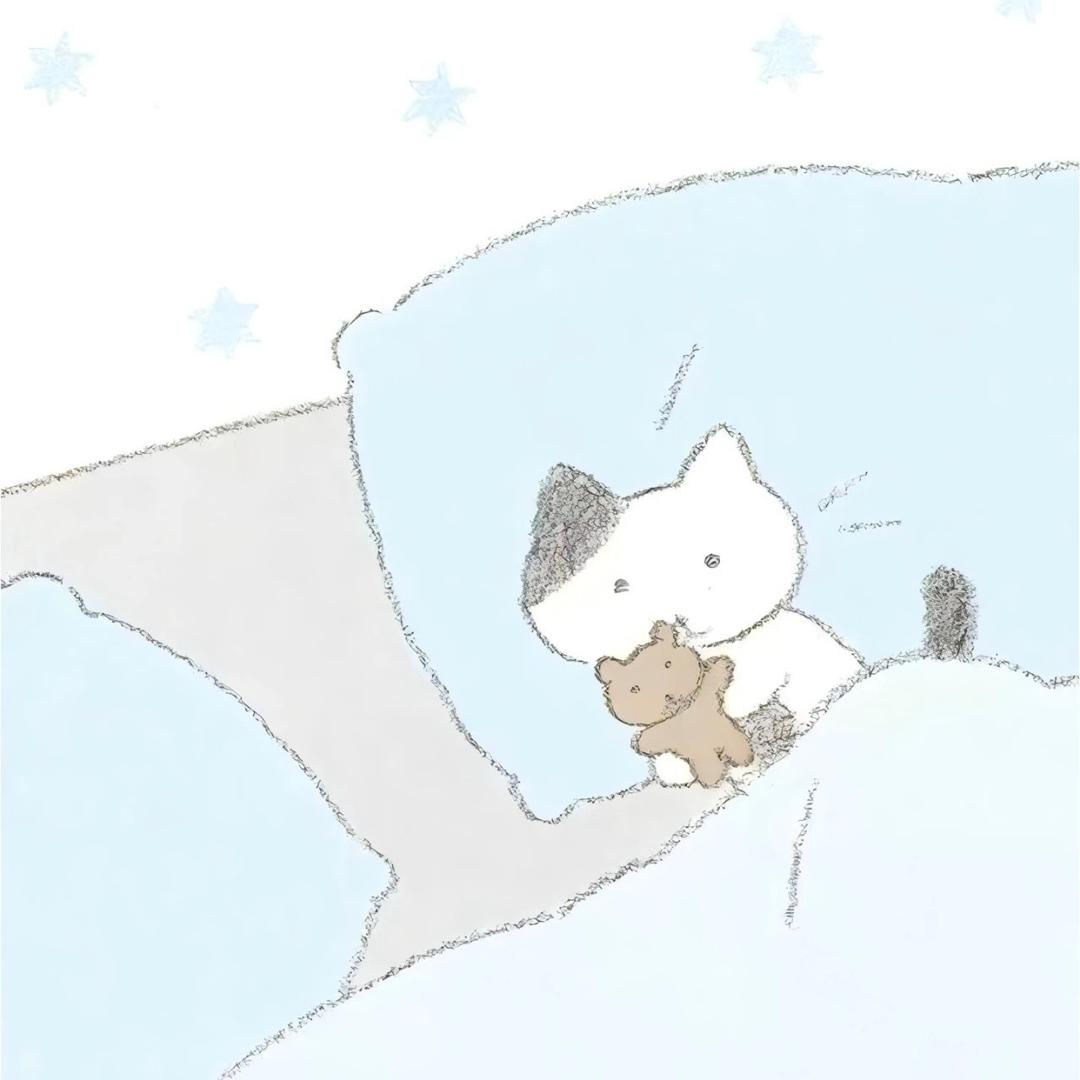 饭团大笨猫