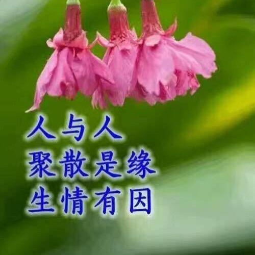 三爱✨朵
