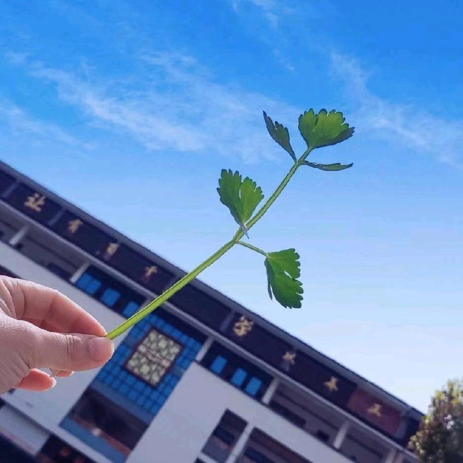 林老师教数学