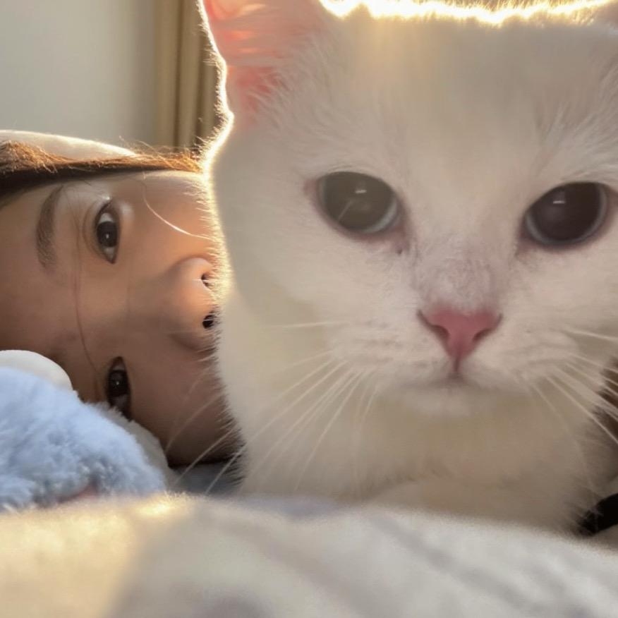 带豆包勇闯厦门岛