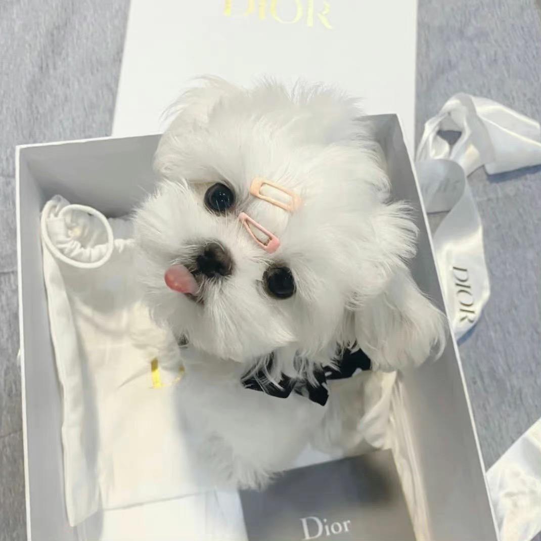 溪汐baby