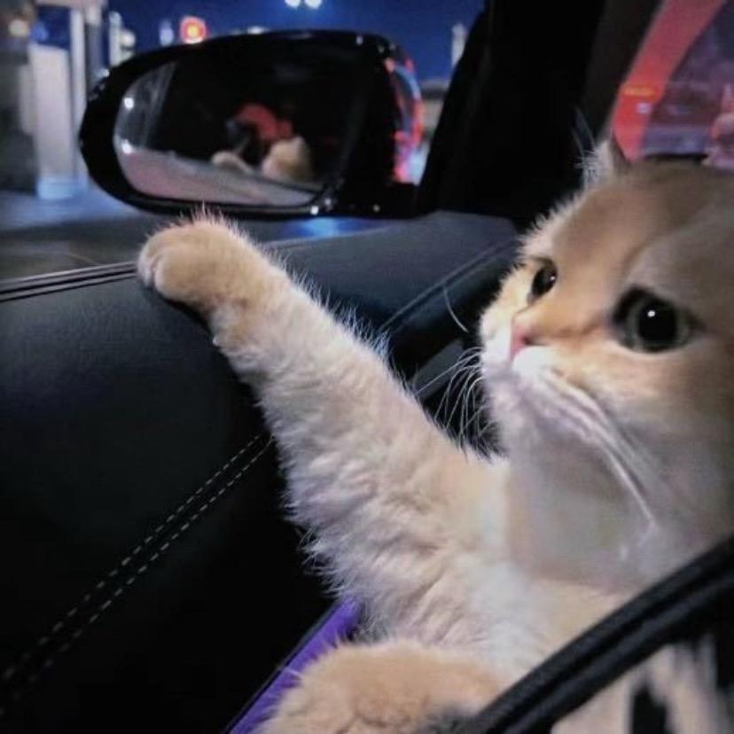 春生（三角洲行动）