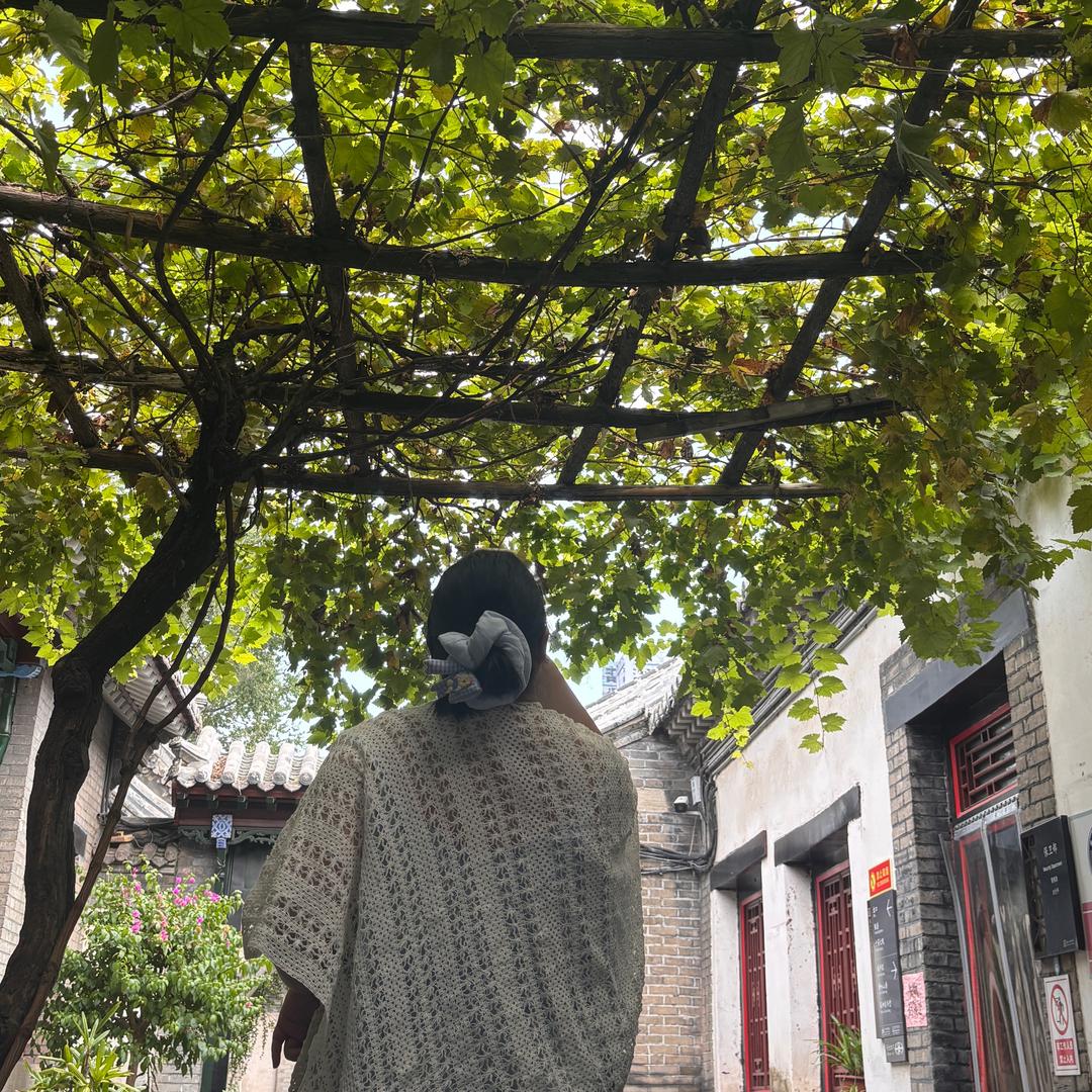 蛋蛋爱吃荷包蛋