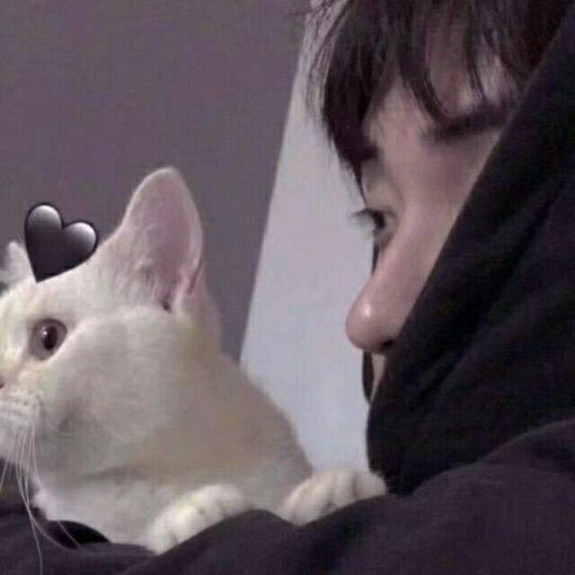 修振轩