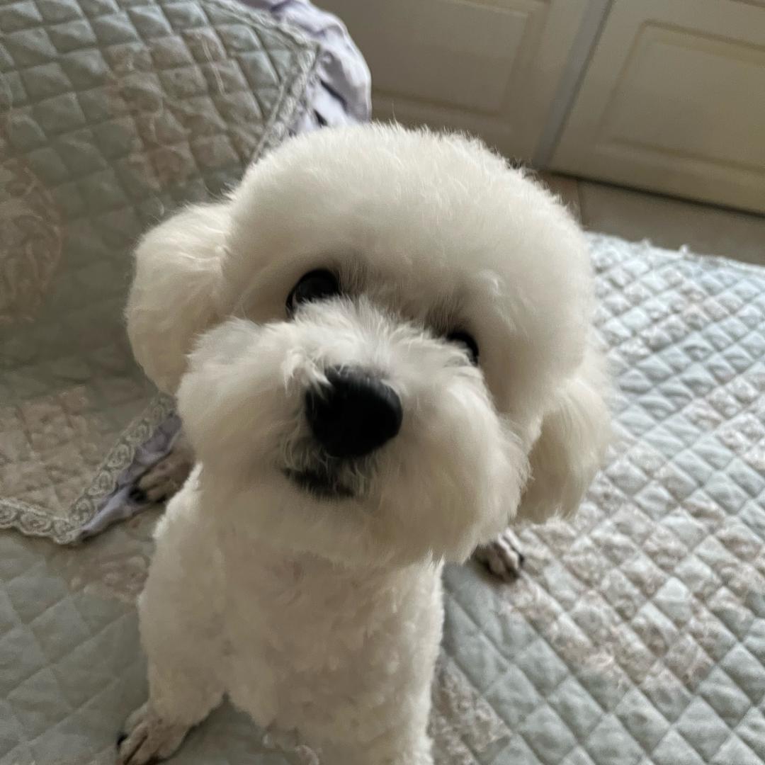 樂以李～