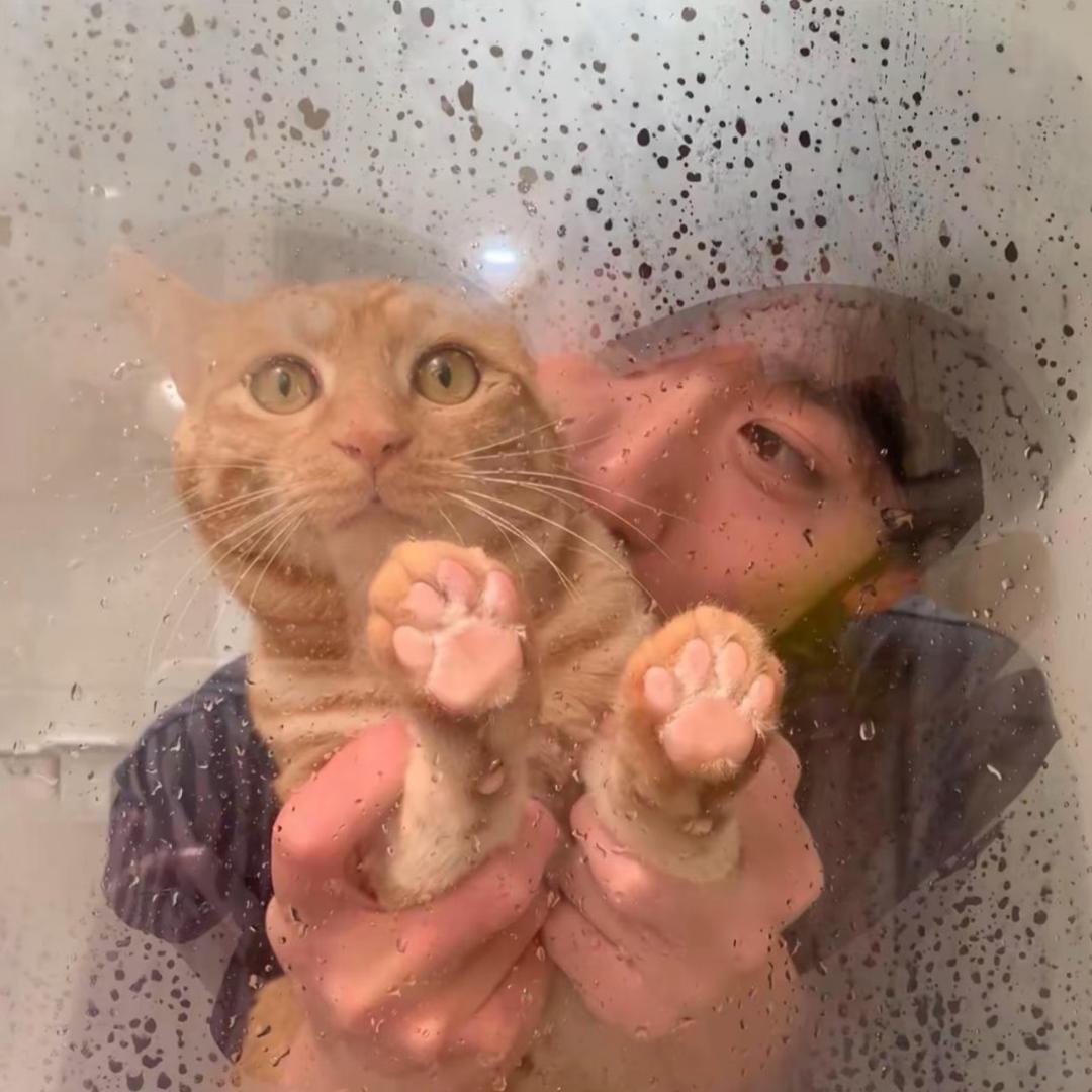 Tomocchi