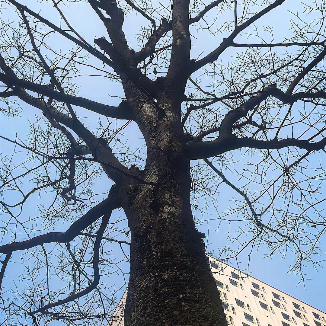 万物丛生 生生不息