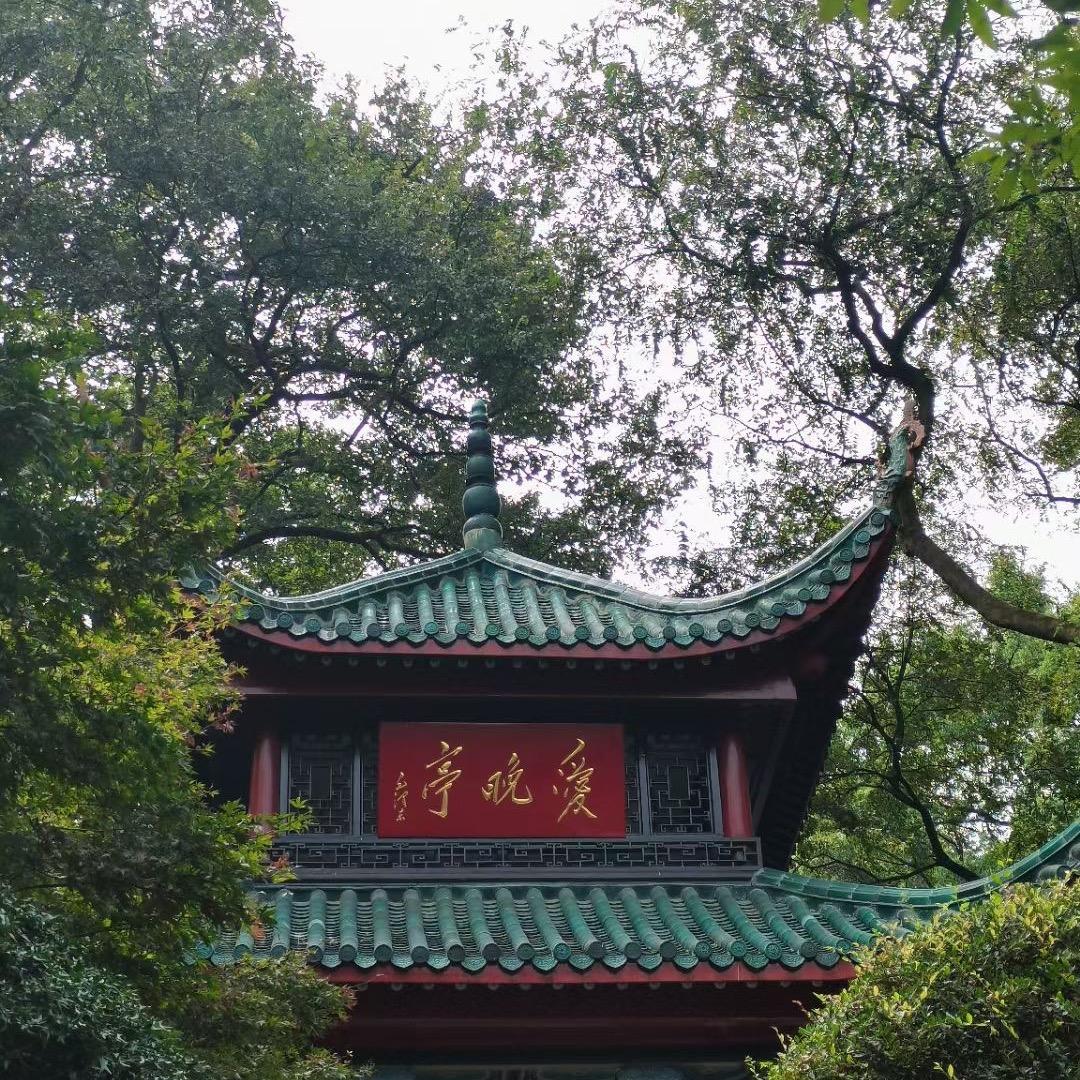 盛世中华好青年