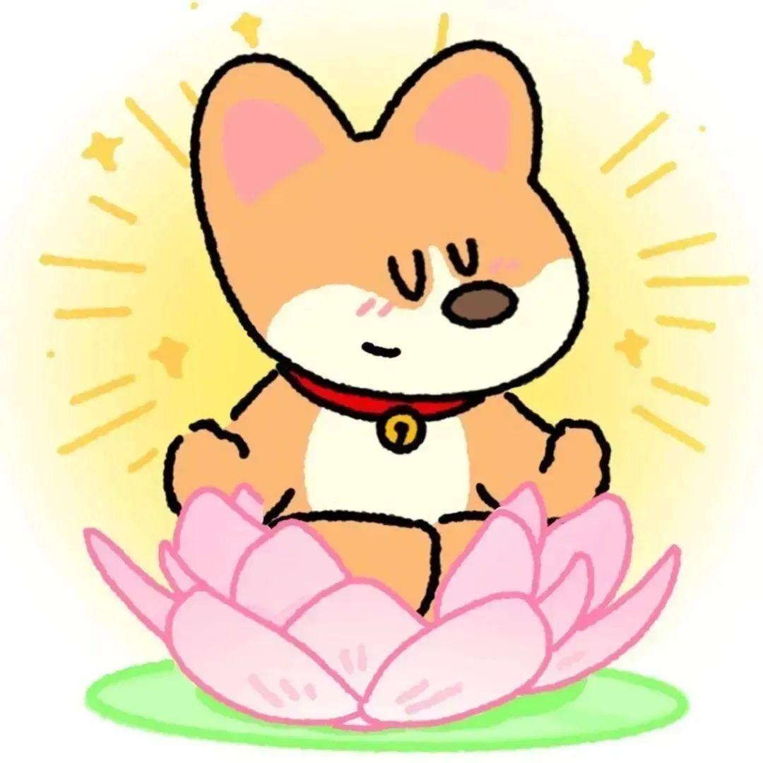 阳光开朗大菜鸟