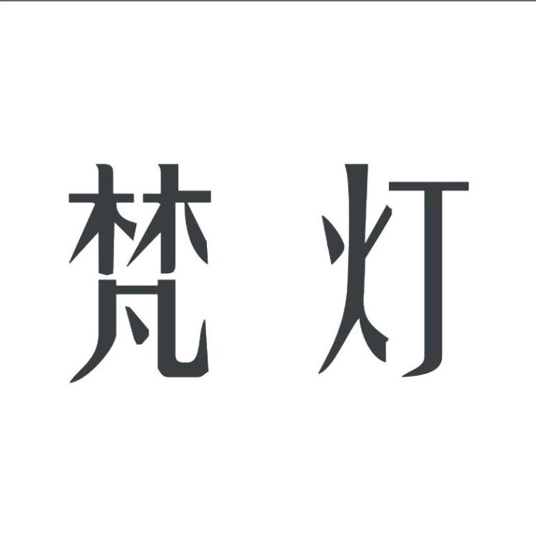 梵灯旭炫摄像头专卖店
