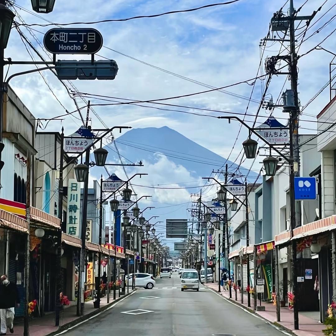 茶的大鹿