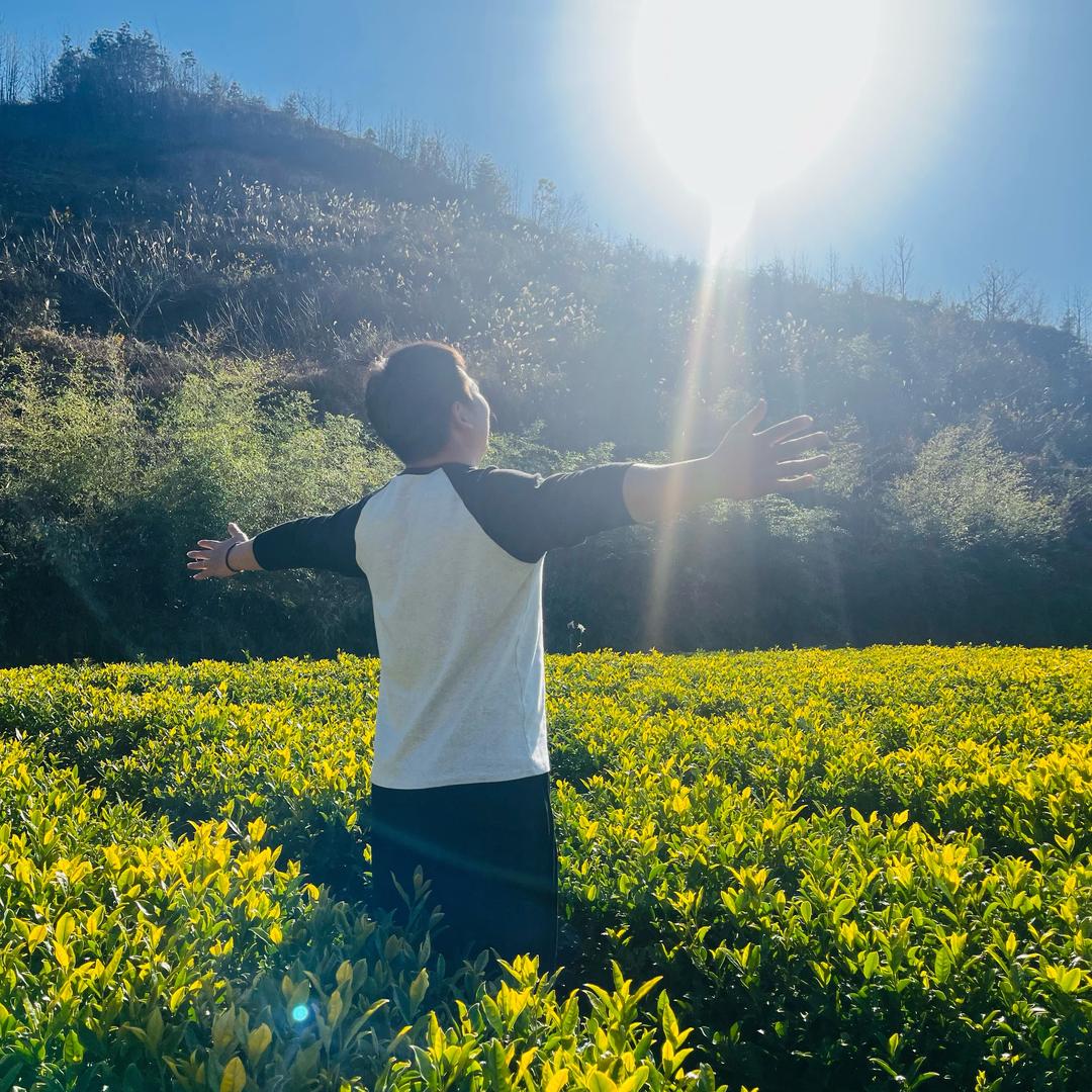 小伟茶叶
