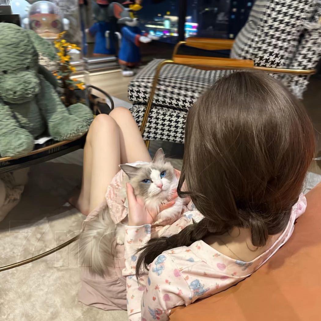 _不吃香菜