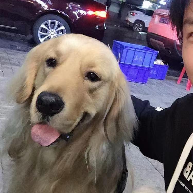 🌈满山猴子我腚最红（互关）