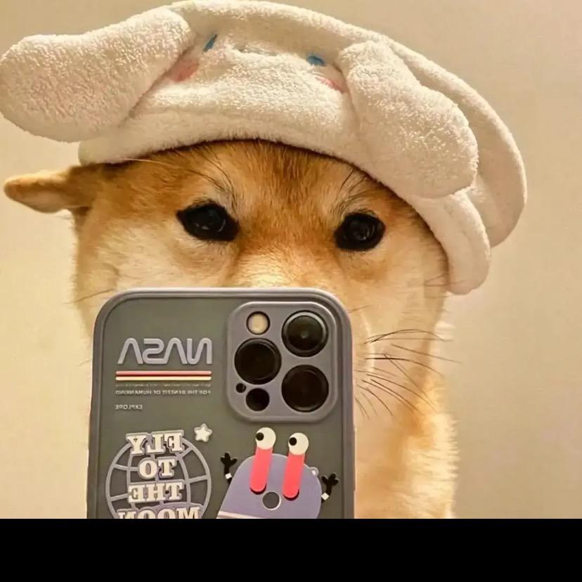 李奥纳多
